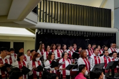 DSC04190-1024x576