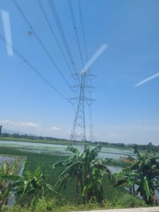 Jaringan