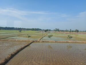 Ada Proses