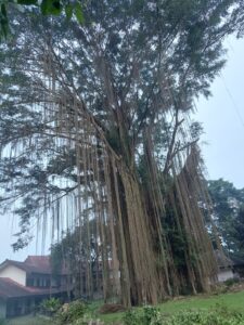Perjalanan Waktu