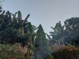 Keberagaman