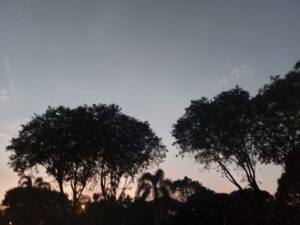 Kendali