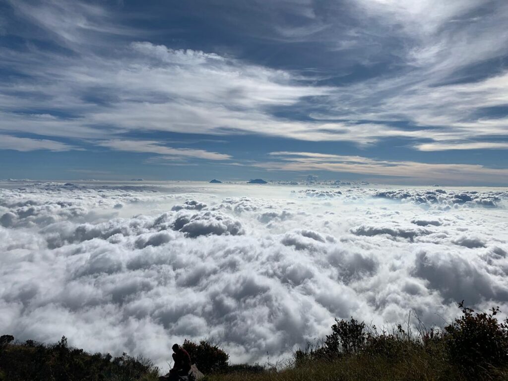 Awan