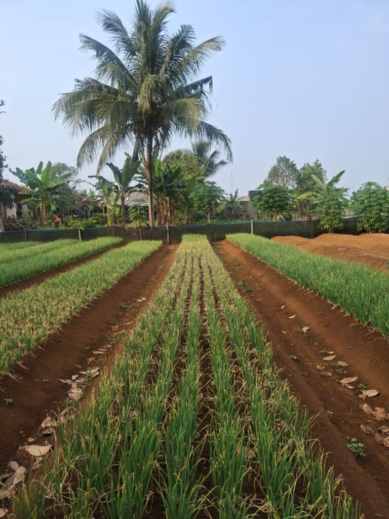 Perawatan