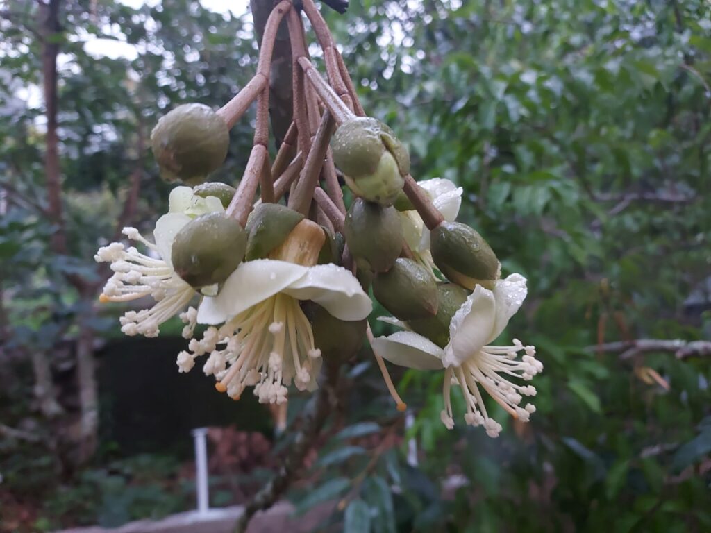 Menjalani Proses